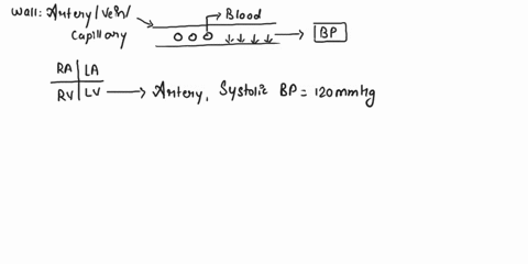 explain-what-creates-blood-pressure-and-how-blood-pressure-changes-as-blood-flows-through-the-systemic-circulation-predict-what-happens-to-blood-pressure-and-distribution-of-blood-when-arter-10985