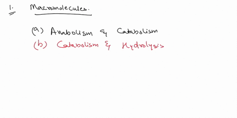 1-1-mark-in-which-processes-are-macromolecules-broken-down-into-monomers-a-anabolism-and-catabolism-b-catabolism-and-hydrolysis-c-hydrolysis-and-reduction_-d-reduction-and-anabolism-2-1-mark-27543