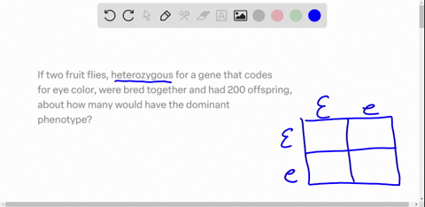 if-two-fruit-flies-heterozygous-for-a-gene-that-codes-for-eye-color-were-bred-together-and-had-200-offspring-about-how-many-would-have-the-dominant-phenotype-20776