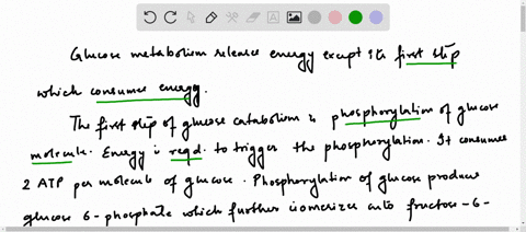 although-catabolism-of-a-glucose-molecule-eventually-produces-a-lot-of-energy-the-first-step-uses-up-14808