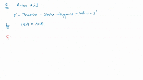 consider-the-following-segment-of-mrna-produced-by-the-normal-order-of-dna-nucleotides-aca-uca-cgg-g-29317