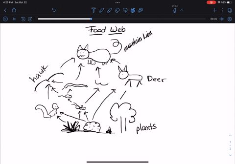 food-web-in-the-food-web-above-the-mountain-lion-and-the-hawk-are-the-apex-or-top-predators-grass-shrubs-and-trecs-are-responsible-for-primary-production-in-this-community-arrows-indicate-en-80001