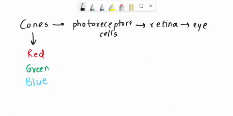 cone-cells-differ-based-on-the-different-items-found-within-their-membranes_-what-is-the-one-entity-that-varies-among-the-three-different-kinds-of-cone-cells-what-is-the-nature-f-this-variat-05972