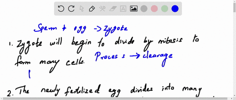 question-pts-a-sperm-joins-with-the-egg-and-their-nuclei-fuse-to-form-a-zygote-the-zygote-will-begin-dividing-by-mitosis-to-form-many-smaller-cells_-we-call-this-process-in-development-_-and-50637