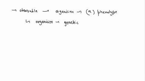 6-the-observable-traits-expressed-by-an-organism-are-described-as-its-____________-a-phenotype-b-gen-09416