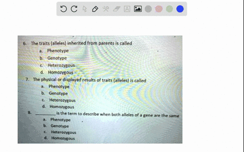 the-traits-alleles-inherited-from-parents-is-called-phenotype-genotype-heterozygous-homozygous-the-physical-or-displayed-results-of-traits-alleles-is-called-phenotype-genotype-heterozygous-h-04517