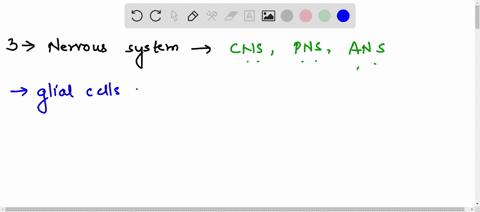 name-the-3-major-divisions-of-the-nervous-system-list-the-types-of-glial-cells-and-assign-each-to-the-proper-division-of-the-nervous-system-along-with-theirfunctions-describe-the-changes-tha-42075