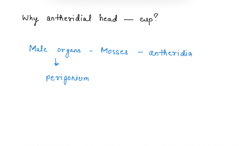 3-why-is-the-antheridial-head-shaped-like-a-cup-why-must-moss-sperm-have-flagella-75797