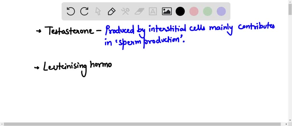 SOLVED: Which process in the body is primarily controlled by ...