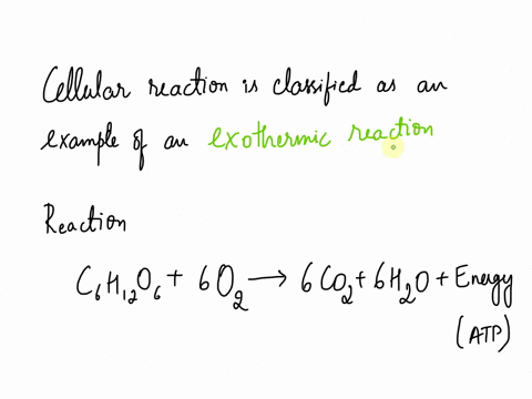 during-cellular-respiration-water-is-produced-as-a-by-product-based-on-this-description-we-should-classify-cellular-respiration-as-which-type-of-reaction-31589