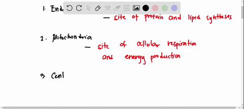 match-each-cell-organelle-with-its-description-tube-like-structures-that-are-the-site-of-protein-and-lipid-synthesis-the-sites-of-cellular-respiration-and-energy-production-cylindrical-tubul-61152