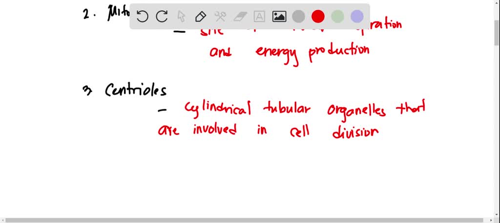 Match Each Cell Organelle With Its Description