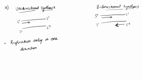 distinguish-between-a-unidirectional-and-bidirectional-synthesis-and-b-continuous-and-discontinuou-3-83353