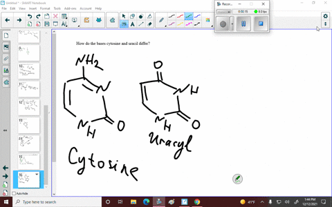 how-do-the-bases-cytosine-and-uracil-differ-19757