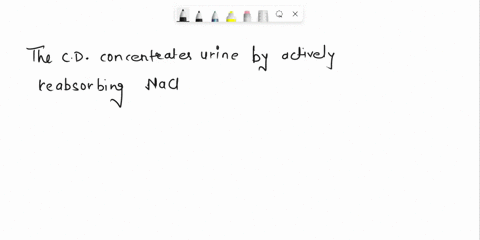 kidneys-please-mark-the-statement-as-true-or-false-regulated-changes-in-the-epithelium-of-the-loop-of-henle-allow-the-kidney-to-operate-in-water-conservation-mode-t-or-f-reabsorption-of-wate-98035