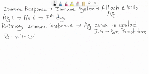 question-1-the-graph-bellows-depicts-the-concentration-of-two-antibodies-from-a-patients-blood-one-in-response-to-antigen-x-and-the-other-one-in-response-to-antigen-y-please-explain-why-thes-42739