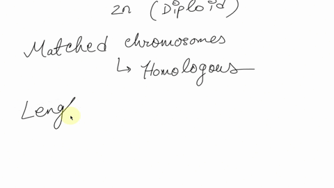 how-are-sister-chromatids-and-homologous-chromosomes-different-from-each-other-homologous-chromosomes-are-identical-copies-of-each-other-one-sister-chromatid-comes-from-the-father-and-one-co-06335