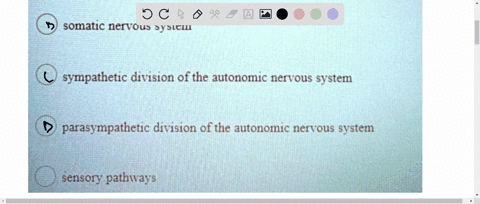 question-22-1-point-which-of-the-following-is-not-part-of-the-peripheral-nervous-system-spinal-cord-somatic-nervous-system-sympathetic-division-of-the-autonomic-nervous-system-parasympatheti-65488