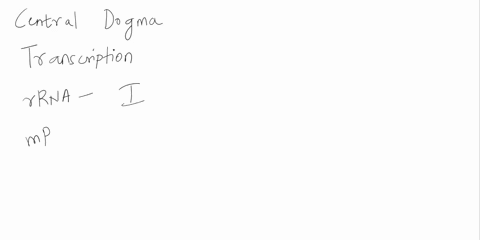 trna-is-transcribed-without-rna-polymerase-ii-none-ofithese-rna-polymerase-iii-rna-polymerase-0-all-ofithesei-61582