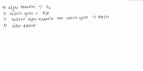 123-16-eor-the-following-questions-compare-the-light-reactions-with-the-calvin-photosynthesis-in-plants_-cycle-of-place-the-number-of-the-correct-answct-beside-cach-note-that-each-answer-may-71004