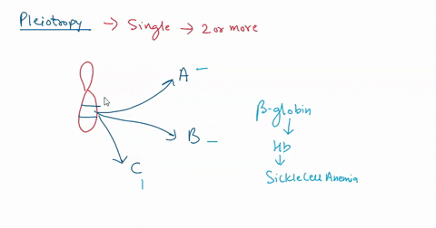 which-situations-are-examples-of-pleiotropy-the-products-of-several-genes-operating-together-create-the-range-of-variation-in-human-height-a-recessive-allele-resulting-from-mutation-in-pea-p-32788