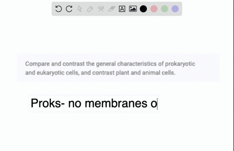 compare-and-contrast-the-general-characteristics-of-prokaryotic-and-eukaryotic-cells-and-contrast-plant-and-animal-cells-67174