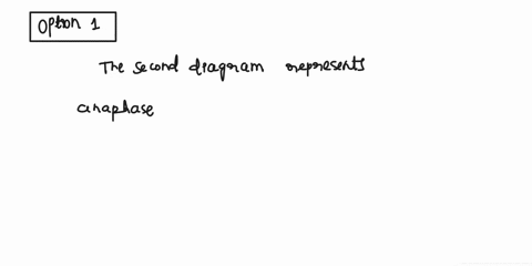 cells-from-a-diploid-protist-with-n1-are-followed-through-mitosis-and-meiosisthe-drawings-in-the-figure-below-represent-the-chromosomesrefer-to-the-drawings-and-answer-the-following-question-58246