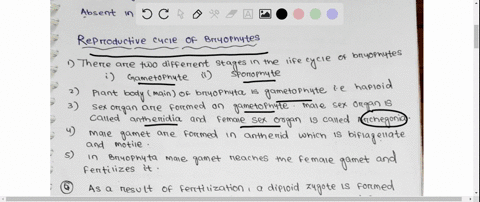 what-are-two-major-reproductive-adaptations-seen-in-both-gymnosperms-and-angiosperms-when-compared-to-early-non-vascular-plants-88166