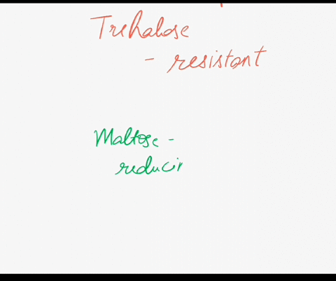 please-explain-why-maltose-can-be-acid-hydrolyzed-with-ease-while-trehalose-is-very-resistant-to-acid-hydrolysis-42977