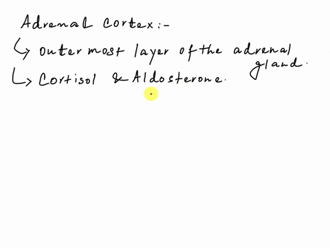 draw-or-explain-the-adrenal-cortex-and-the-sequence-for-cortex-hormone-release-hypothalamus-anterior-pituitary-adrenal-cortex-resulting-in-cortisol-and-aldosterone-please-include-the-target-81635
