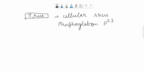 help-pls-the-following-statement-is-either-true-or-false-begin-your-answer-with-true-or-false-and-then-justify-your-choice-in-a-brief-paragraph-cellular-stresses-lead-to-the-phosphorylation-27978