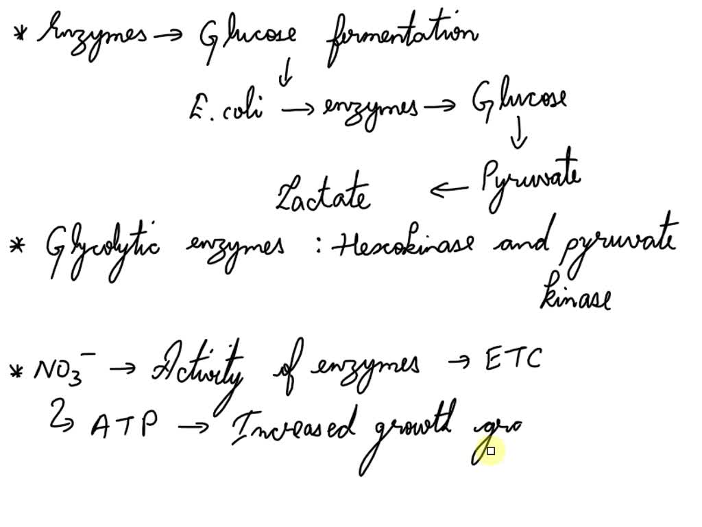 SOLVED: Cells of Escherichia coli fermenting glucose grow faster when ...