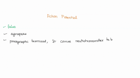 question-18-1-point-an-action-potential-arises-when-synapse-neuron-releases-neurotransmitter-into-the-true-false-question-19-1-point-skeletal-muscle-is-considered-striated-because-of-the-int-59206