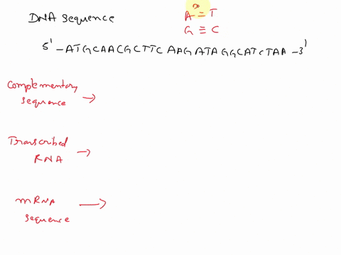 if-a-dna-molecule-comprised-the-following-sequence-what-would-be-the-complementary-sequence-if-the-dna-sequence-was-transcribed-to-rna-what-would-be-the-mrna-sequence-5-atgcaacgcttcaagataggc-14594