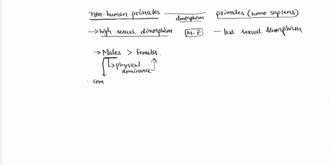 q46-46-from-what-we-learned-from-non-human-primates-the-fact-that-there-is-a-low-degree-of-sexua-dimorphism-in-species-of-the-genus-homo-suggests-that-athere-was-reduced-male-male-competitio-22343