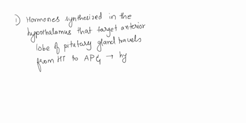 several-hormones-synthesized-in-the-hypothalamus-target-the-anterior-lobe-of-the-pituitary-gland-these-hormones-travel-from-the-hypothalamus-to-the-anterior-pituitary-gland-within-the-______-17401