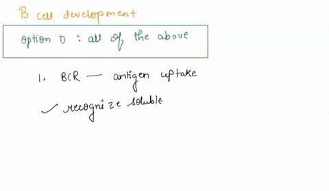 which-of-the-following-is-true-about-b-cell-development-a-the-bcr-allows-antigen-uptake-for-presentation-to-cd4-cells-and-acts-as-the-antigen-receptor-b-both-cytokines-and-cd40-ligand-made-b-80358