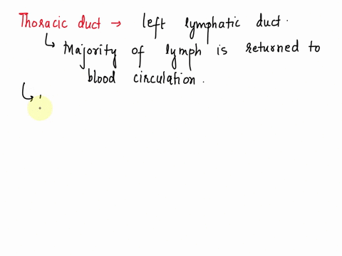 the-bulk-of-the-lymph-is-returned-to-the-blood-via-the-question-28-options-a-right-lymphatic-duct-b-lymphatic-vessels-c-thoracic-duct-d-superior-vena-cava-e-none-of-the-other-answers-22242