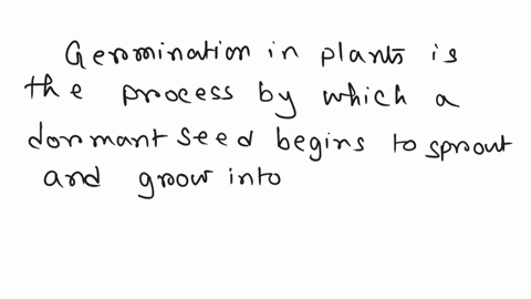 identify-the-sentence-if-true-or-false-1-a-plant-needs-water-air-and-sunlight-to-germinate-2-sunlight-are-warmth-are-not-required-for-germination-3-sunlight-and-soil-are-not-required-for-ger-13799