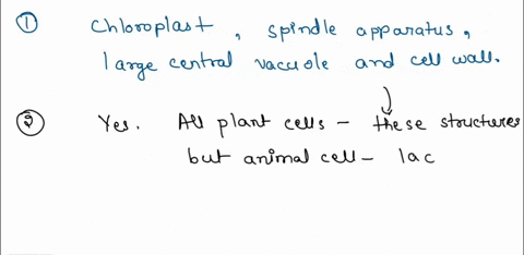 what-cell-structures-did-you-place-in-the-plant-cell-that-you-did-not-place-in-the-animal-cell-is-there-any-difference-in-the-structure-of-the-two-cells-what-structures-do-organisms-that-lac-39496