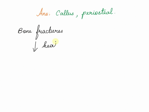 patches-of-fibrocartilage-formed-in-the-healing-of-a-fracture-are-called-__________-whereas-the-bony-collar-formed-around-the-fracture-is-called-__________-05278