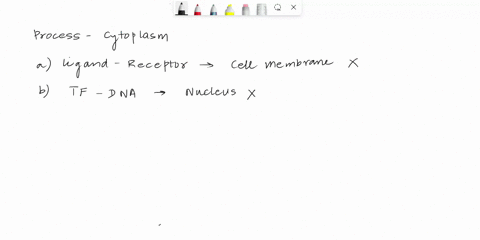 1-during-the-stages-of-cell-signaling-in-a-eukaryote-which-stage-occurs-typically-in-the-cytoplasm-a-ligands-binding-to-membrane-receptors-b-transcription-factor-binding-to-dna-c-transcripti-86166