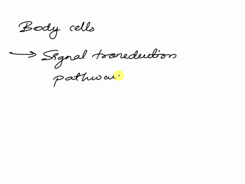 different-body-cells-can-respond-differently-to-the-same-peptide-hormones-because-_____-a-different-target-cells-have-different-sets-of-genesb-the-hormone-is-chemically-altered-in-different-14365