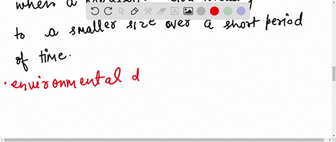 what-is-bottleneck-effect