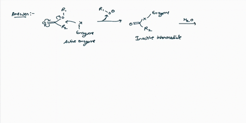 trypsin-selectively-cleaves-polypeptide-chains-on-the-carbonyl-side-of-the-amino-acids-arginine-or-lysine-b-using-the-following-substrate-show-the-enzymatic-mechanism-of-trypsin-and-discuss-60504