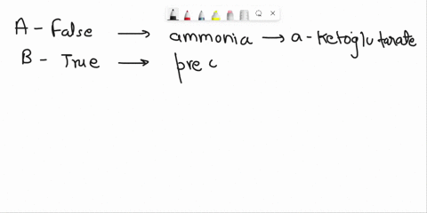 select-the-false-statement-regarding-glutamate-a-it-is-synthesized-in-a-single-step-reaction-b-it-is-used-to-produce-other-amino-acids-c-it-involves-adding-ammonia-to-a-ketoglutarate-d-it-us-23785