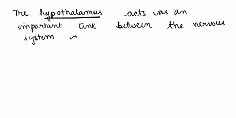 1-hypothalamus-helps-to-maintain-homeostasis-by-controlling-hunger-thirst-blood-pressureetc-so-it-is-an-important-link-between-a-nervous-system-and-respiratory-system-b-nervous-system-and-ci-62202