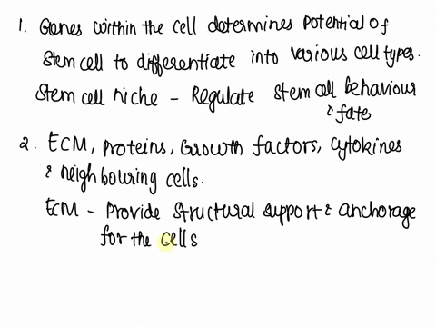 1explain-in-details-the-concept-of-the-fate-of-a-stem-cell-depends-not-only-on-the-genetics-of-the-articular-cell-itself-correlate-your-explanation-with-central-dogma-of-molecular-biology-2w-07467