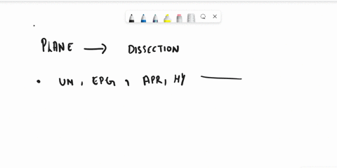 which-plane-of-dissection-would-cut-through-hypochondriac-umbilical-and-epigastric-abdominopelvic-regions-all-at-the-same-time-62684