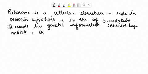 the-ribosome-is-an-organelle-that-functions-in-the-process-of-41348